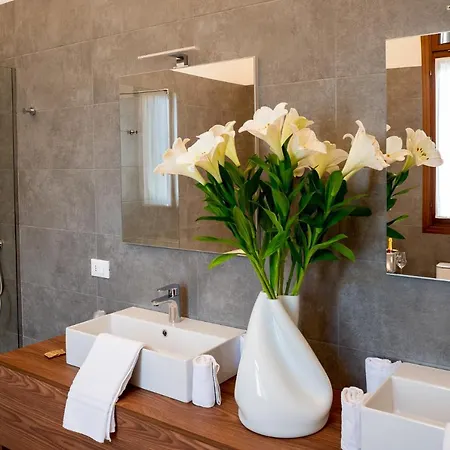 Palazzo Scamozzi 3* 维琴察